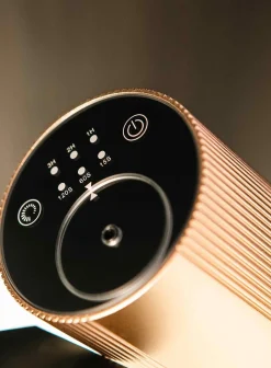 OGÉR Home Diffuser Goud Flash Sale