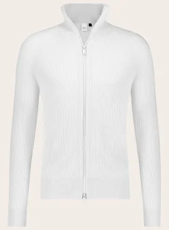 AlphaTauri Regular-Fit Ritsvest Van Wol En Cashmere Online